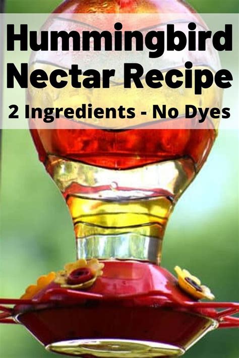Hummingbird nectar recipe. Things To Know About Hummingbird nectar recipe. 